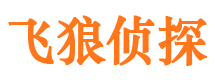 霍邱市私家侦探